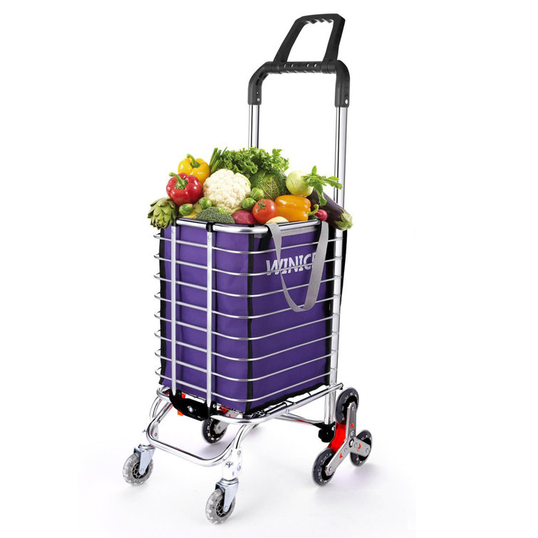 Homdox Oxford Cloth Folding Shopping Utility Cart & Reviews Wayfair